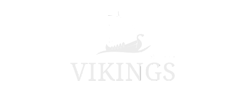 Logo Grupo Vikings