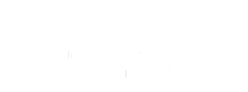 Logo Instituto Humans